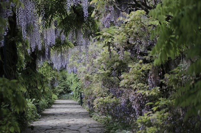 nouvelles tendances 2021 jardin